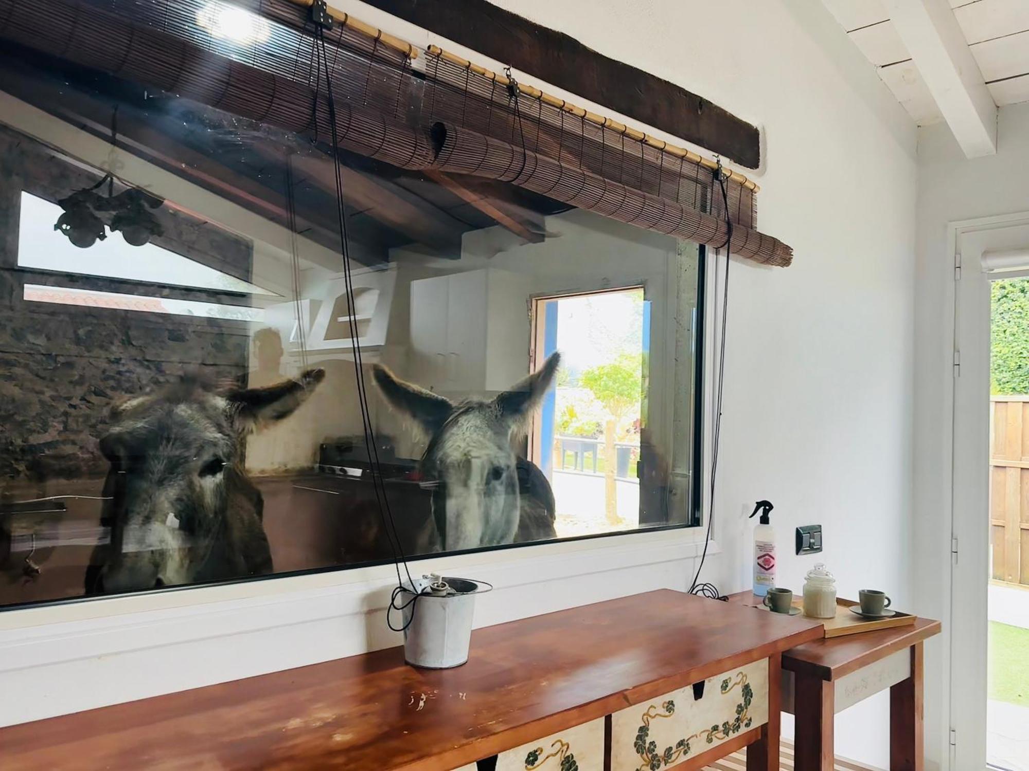 Casa Antigua Villa La Esperanza  ภายนอก รูปภาพ