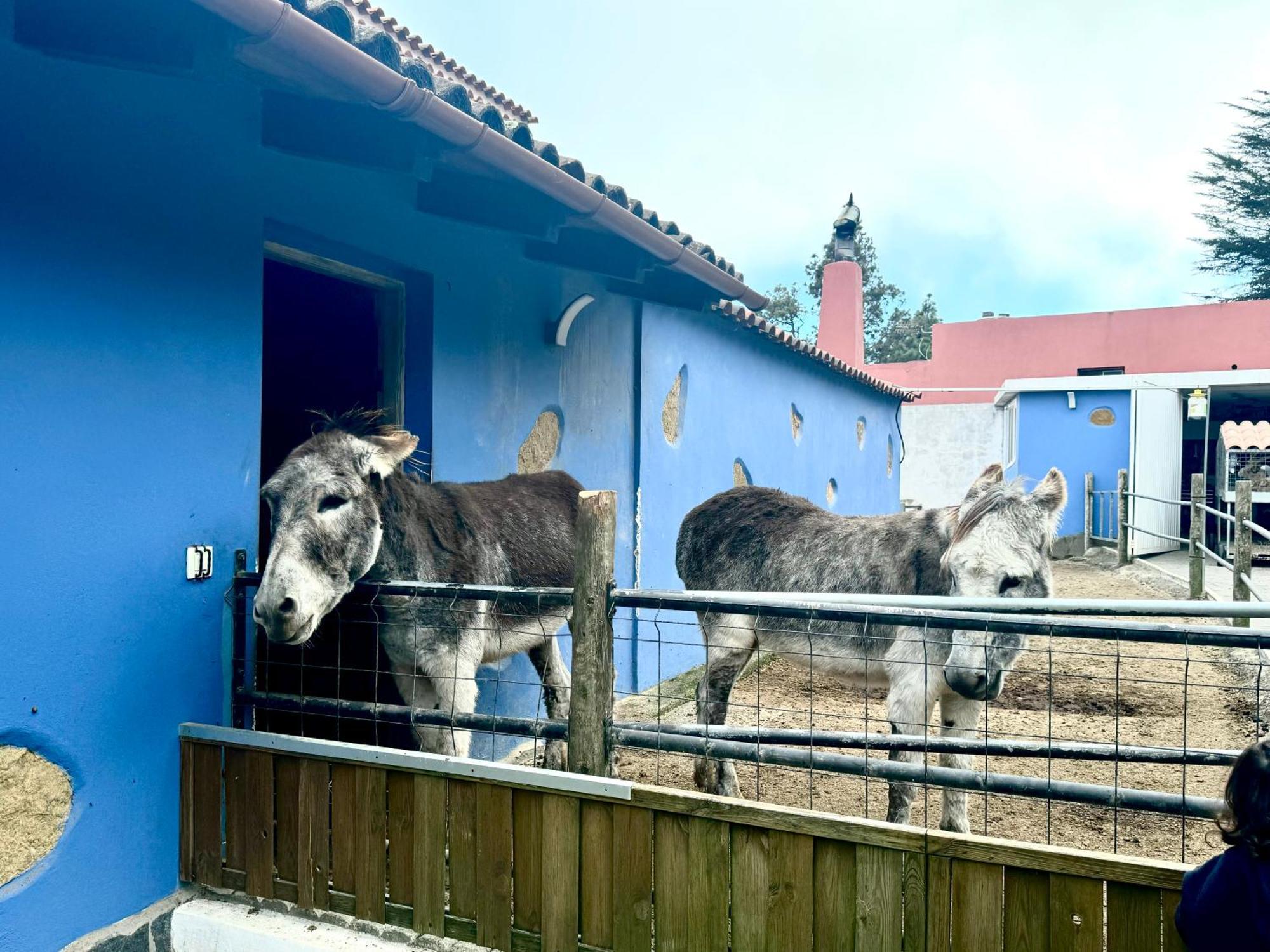 Casa Antigua Villa La Esperanza  ภายนอก รูปภาพ