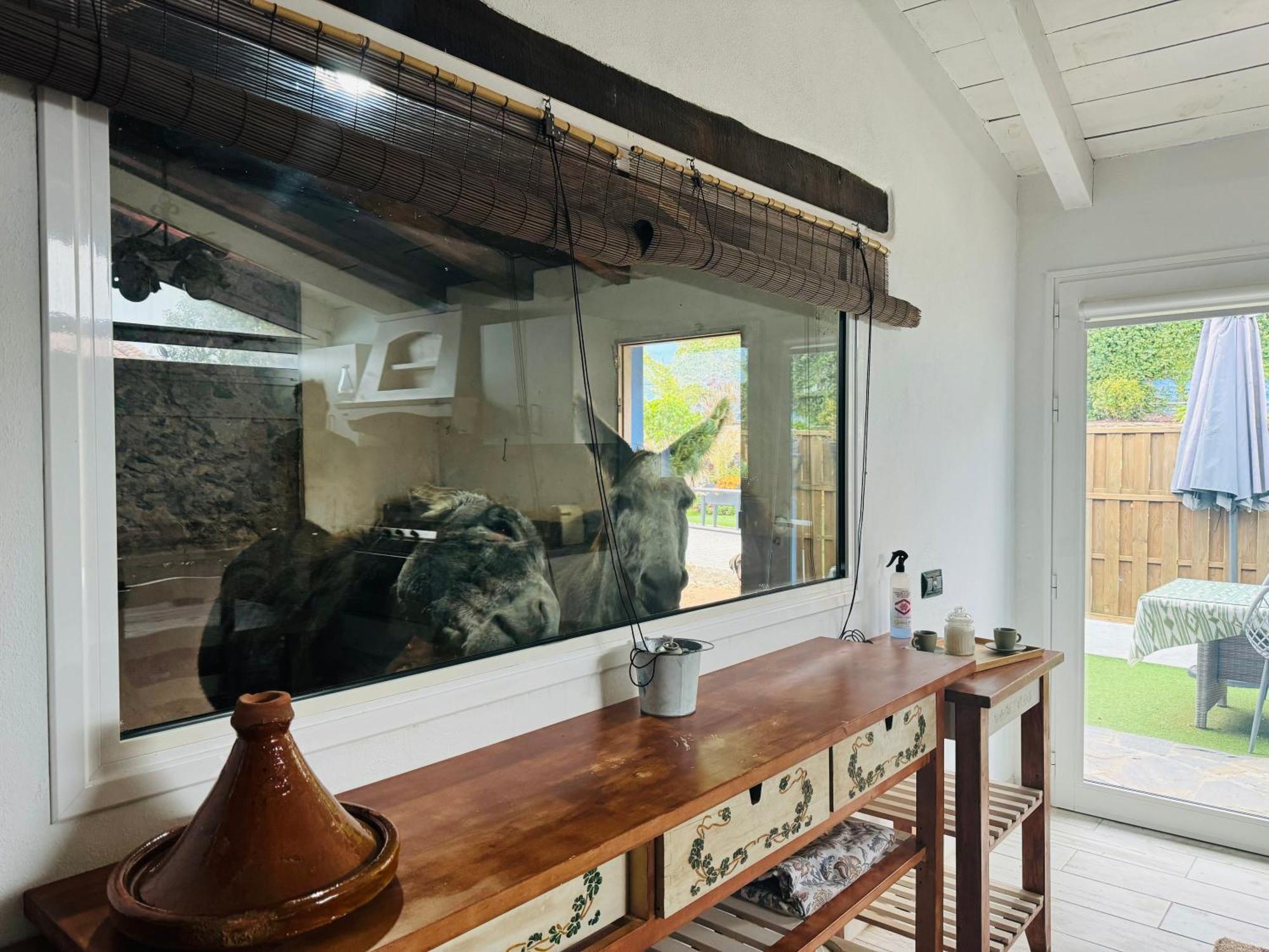 Casa Antigua Villa La Esperanza  ภายนอก รูปภาพ